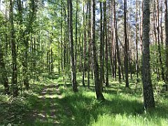 070_iP_210530_IMG_2394