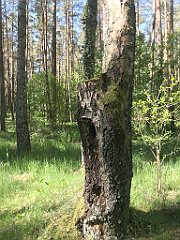 071_iP_210530_IMG_2396