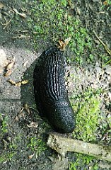 073_p20_IMG_20210530_093725