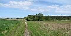 093_IMG_x57909