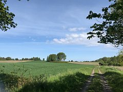 101_iP_210530_IMG_2404