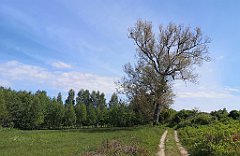 116_p20_IMG_20210530_101128