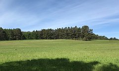 150_iP_210530_IMG_2435