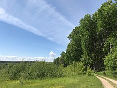 165_iP_210530_IMG_2444