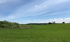 211_iP_210530_IMG_2457