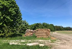 249_iP_210530_IMG_2468