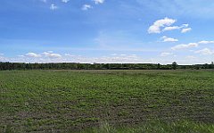 348_p20_IMG_20210530_142218