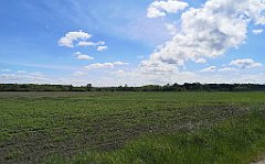 349_p20_IMG_20210530_142221