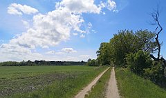 350_p20_IMG_20210530_142224