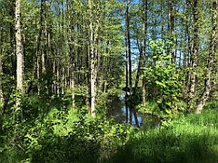 377_iP_210530_IMG_2494