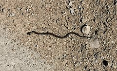 385_p20_IMG_20210530_153014