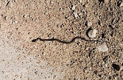 387_p20_IMG_20210530_153022