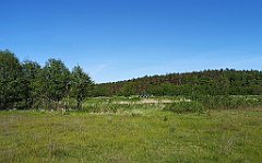 416_p20_IMG_20210530_165443