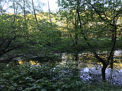513_iP_210530_IMG_2568
