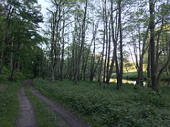 519_iP_210530_IMG_2579