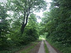 059_iP_210615_IMG_2628