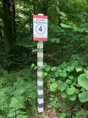 118_iP_210615_IMG_2650