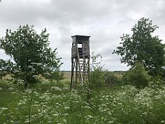 123_iP_210615_IMG_2655