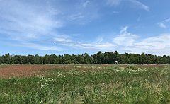 147_iP_210615_IMG_2676