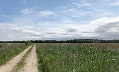 148_iP_210615_IMG_2677