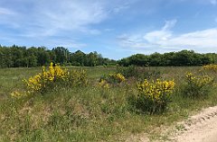 158_iP_210615_IMG_2683