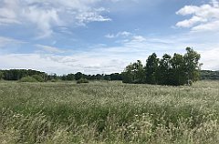 172_iP_210615_IMG_2691