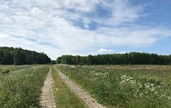 189_iP_210615_IMG_2697