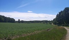 256_p20_IMG_20210615_130037