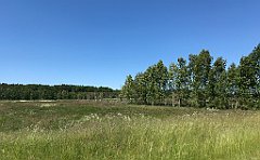 261_iP_210615_IMG_2703