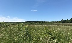 270_iP_210615_IMG_2706