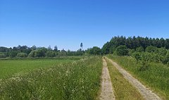 283_p20_IMG_20210615_133016