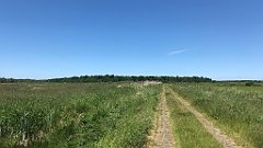 291_iP_210615_IMG_2721