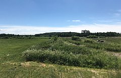 315_iP_210615_IMG_2726