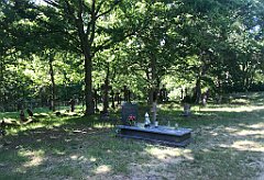 485_iP_210615_IMG_2758