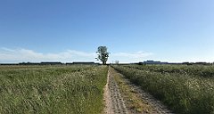 521_iP_210615_IMG_2777