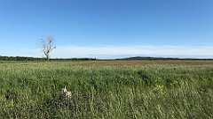 523_iP_210615_IMG_2778