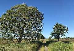 544_iP_210615_IMG_2784