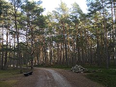 354_p20_IMG_20220213_143809