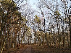 360_p20_IMG_20220213_145201