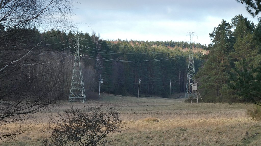 400_TZ90_P1130833.JPG