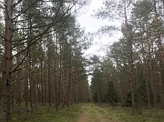 188_iP_220226_IMG_4056