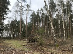 189_iP_220226_IMG_4057