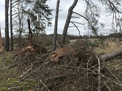 224_iP_220226_IMG_4069