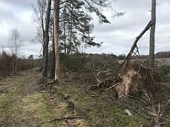 225_iP_220226_IMG_4070