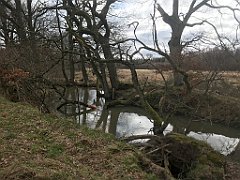 267_iP_220226_IMG_4077