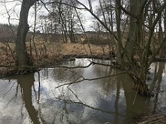 272_iP_220226_IMG_4084