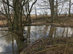 273_iP_220226_IMG_4086