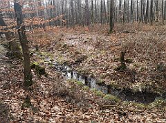 326_p20_IMG_20220226_135713