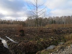 353_p20_IMG_20220226_143219