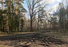 380_iP_220226_IMG_4106